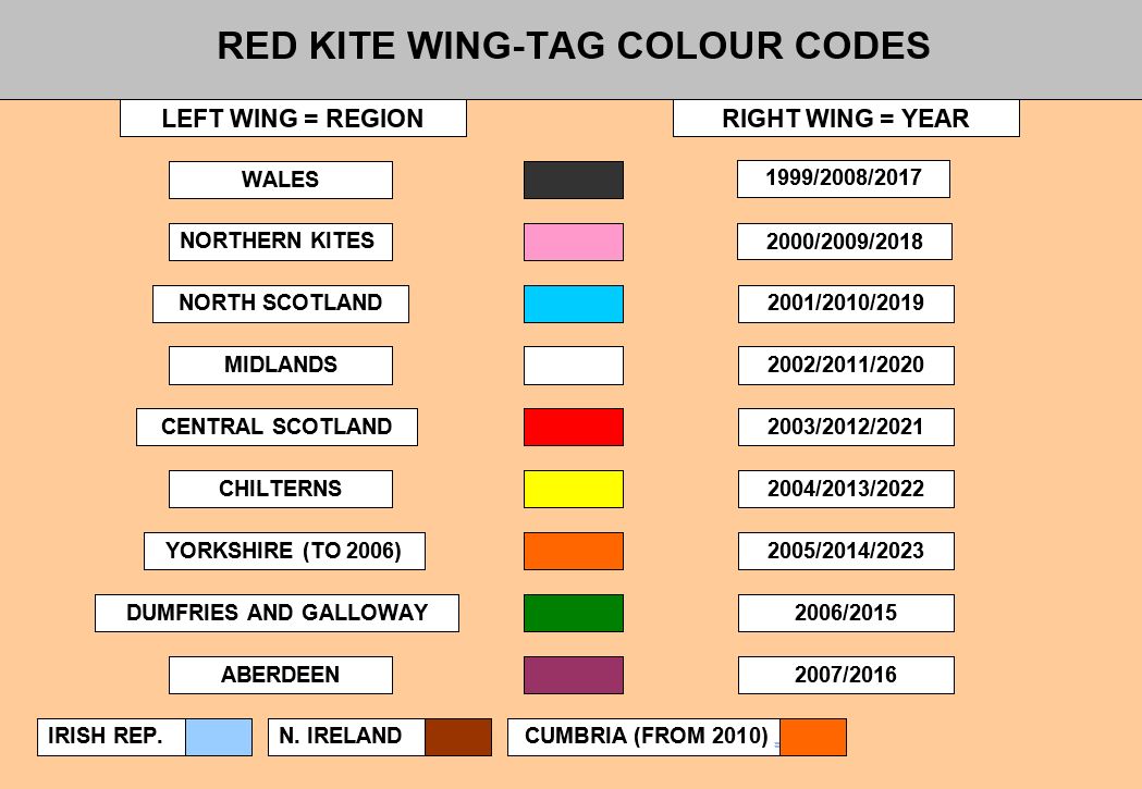 Wing Tags 2022